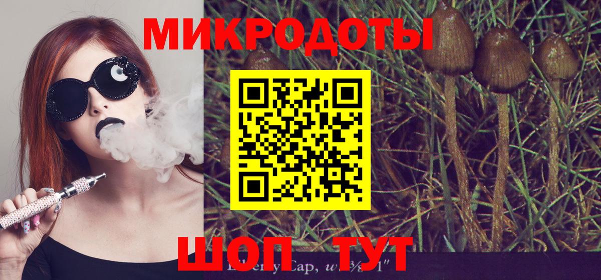 Псилоцибиновые грибы MAGIC MUSHROOMS Похвистнево